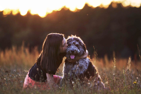Mädchen und Hund im Sonnenuntergang, Brandenburg